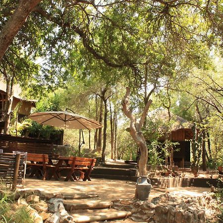 Off Beat Safaris Bush Lodge 侯斯普瑞特 外观 照片