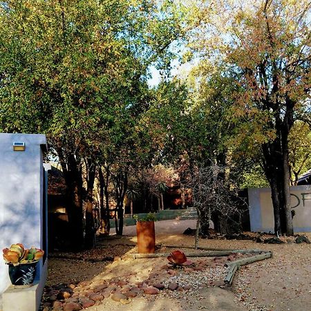 Off Beat Safaris Bush Lodge 侯斯普瑞特 外观 照片
