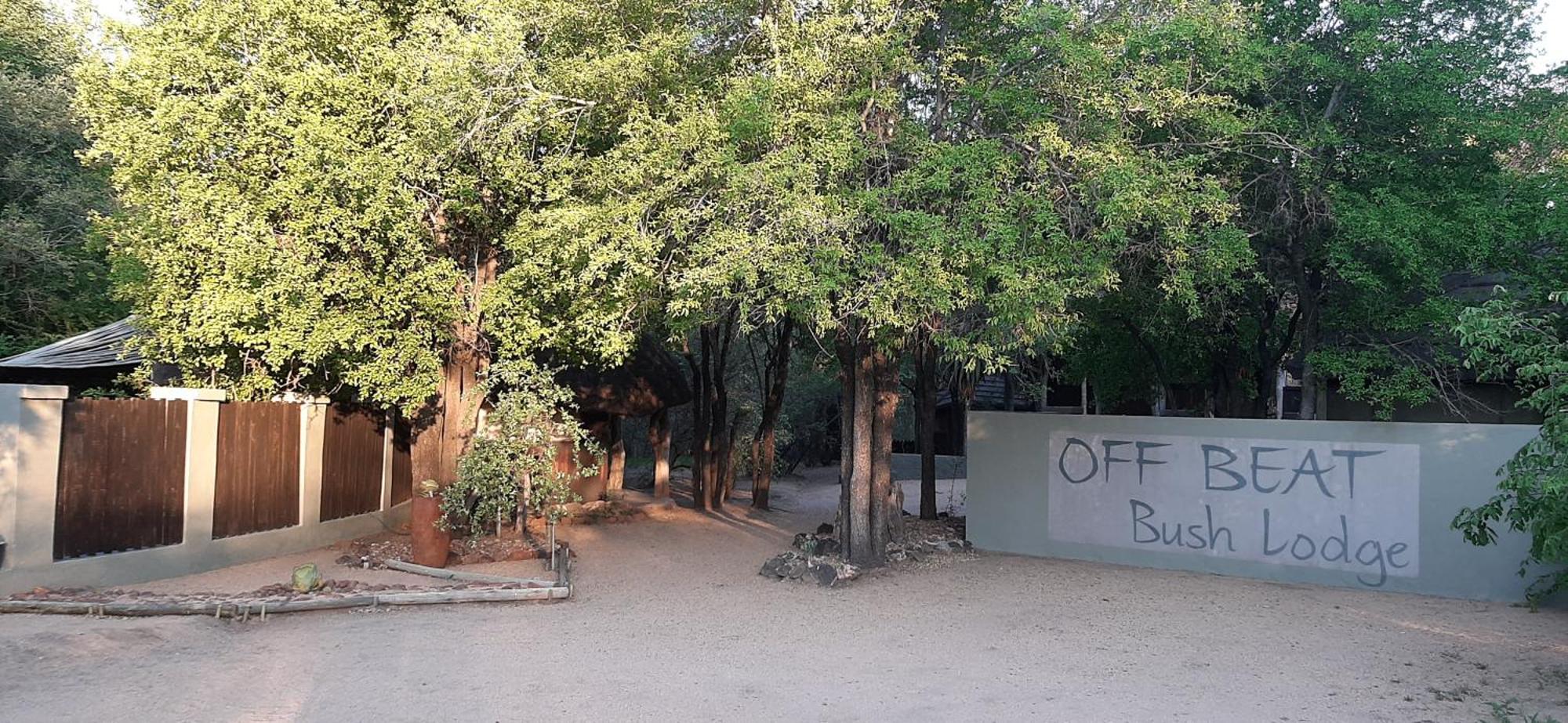 Off Beat Safaris Bush Lodge 侯斯普瑞特 外观 照片
