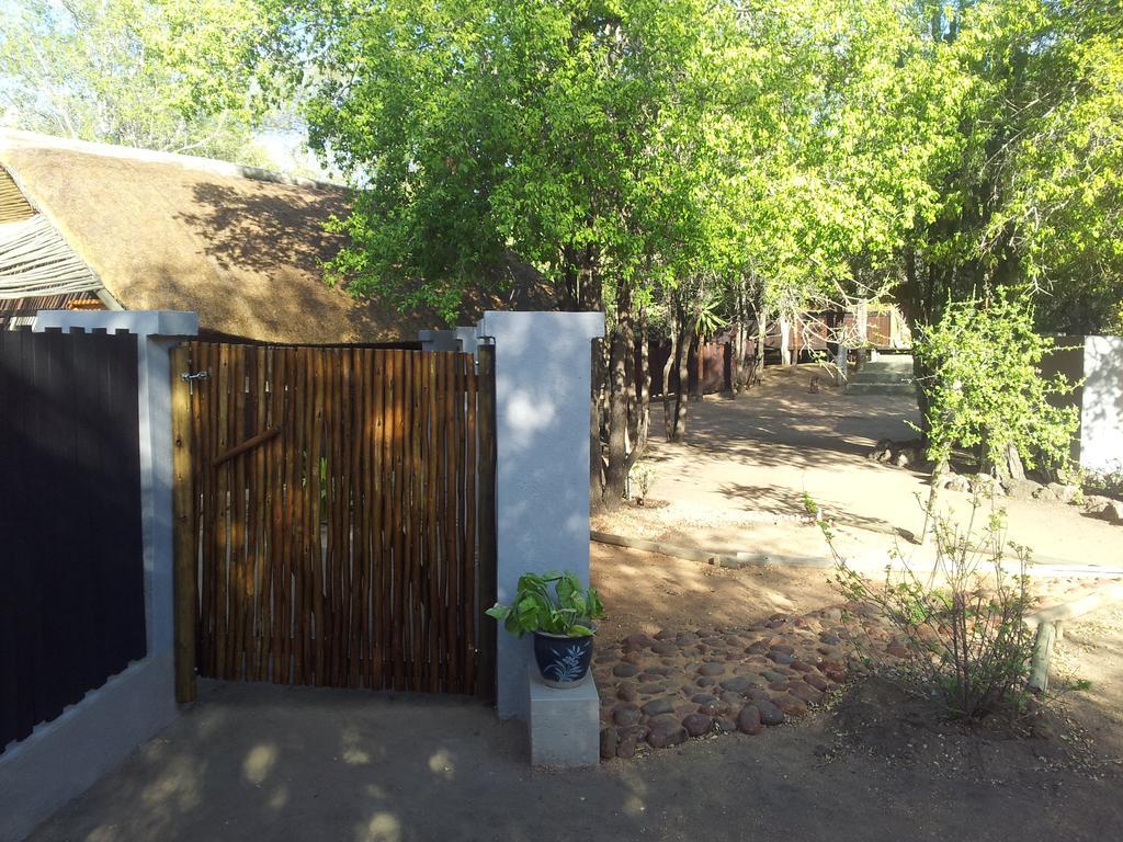 Off Beat Safaris Bush Lodge 侯斯普瑞特 外观 照片