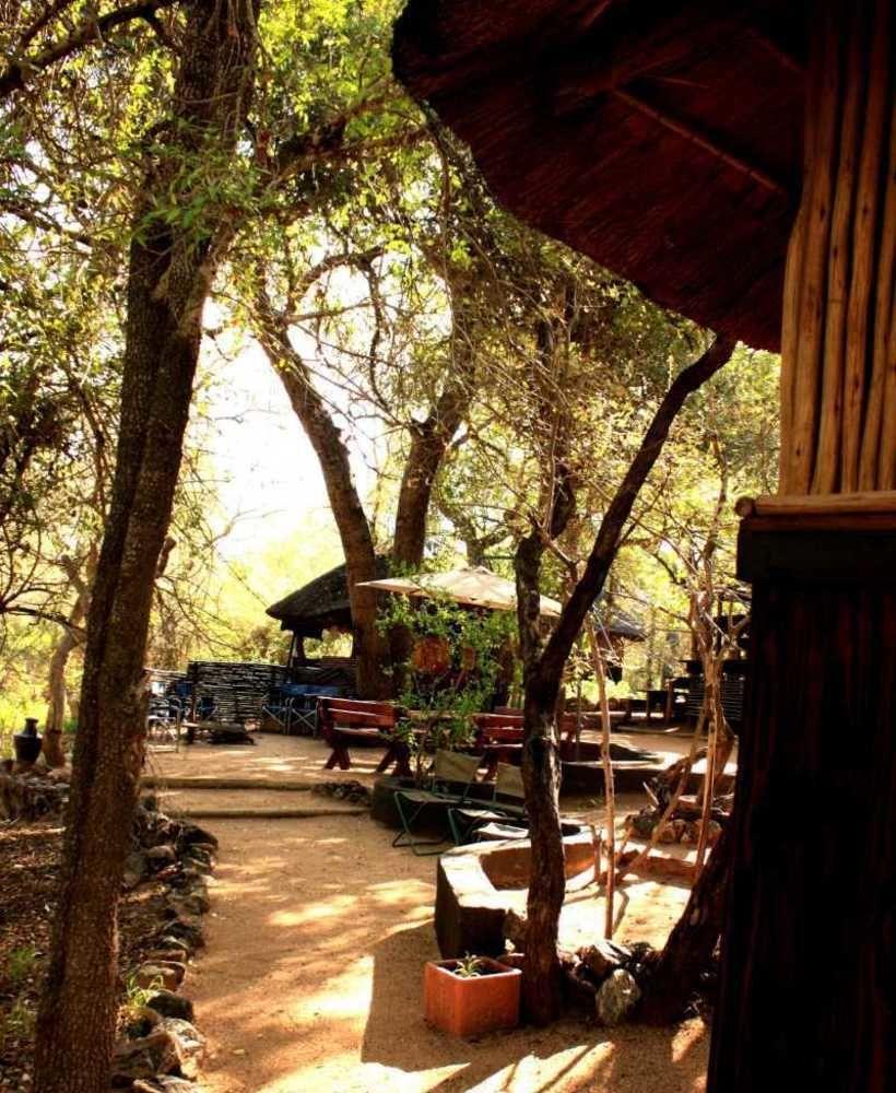 Off Beat Safaris Bush Lodge 侯斯普瑞特 外观 照片
