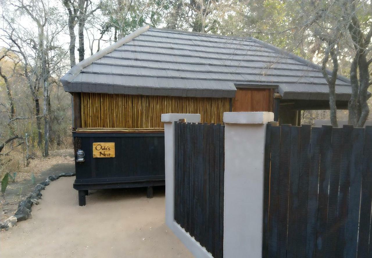 Off Beat Safaris Bush Lodge 侯斯普瑞特 外观 照片