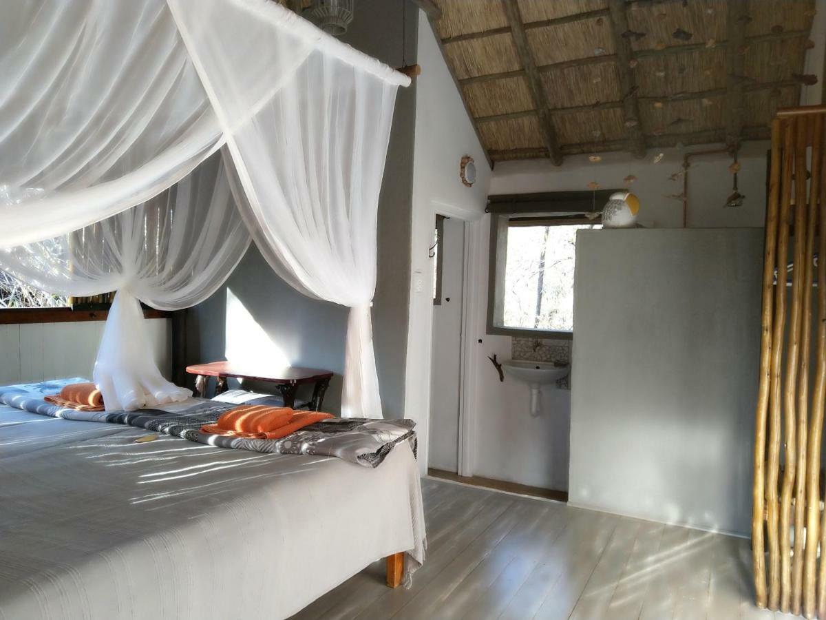 Off Beat Safaris Bush Lodge 侯斯普瑞特 外观 照片