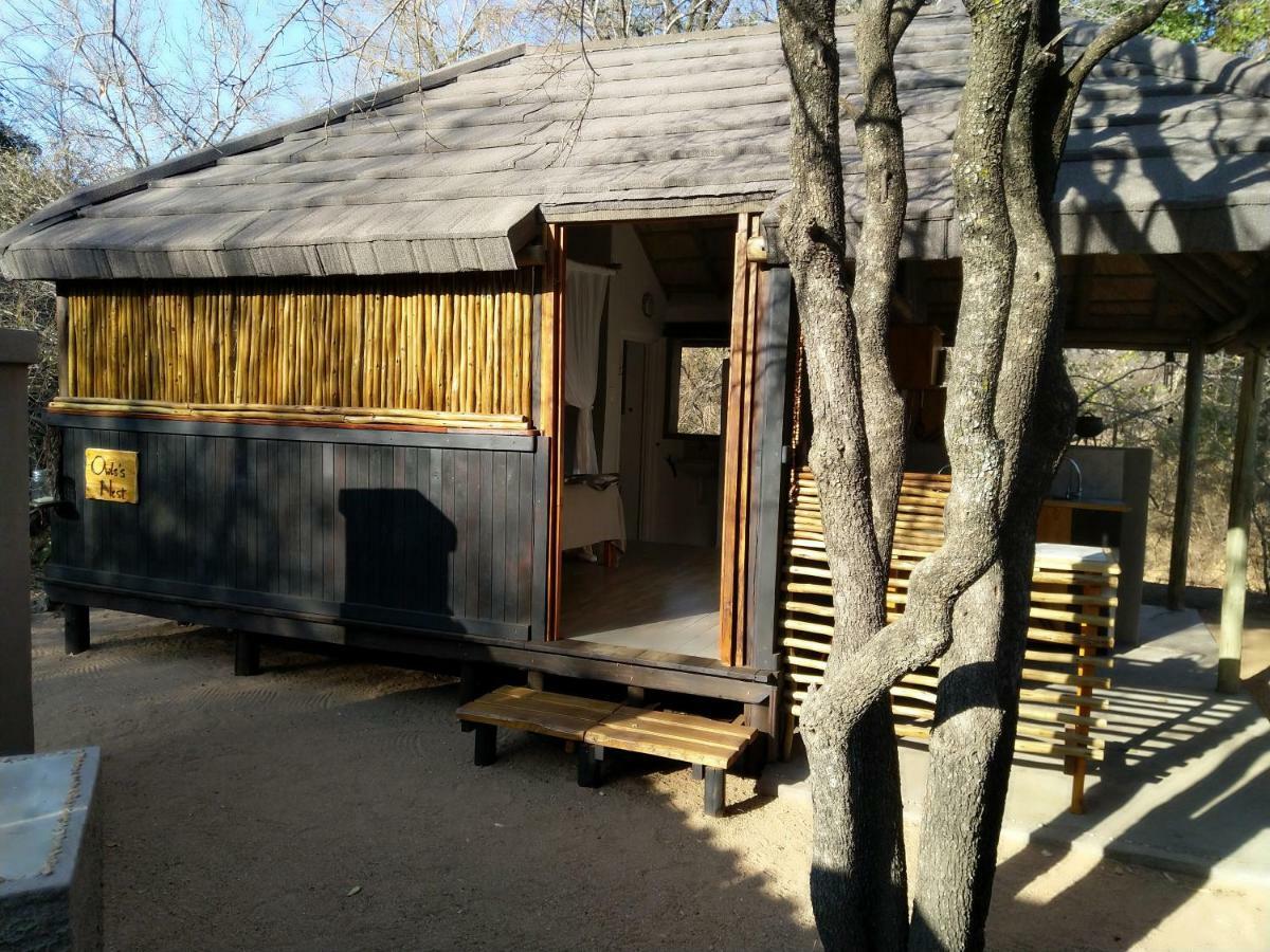 Off Beat Safaris Bush Lodge 侯斯普瑞特 外观 照片