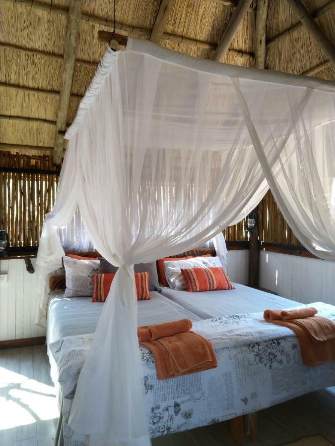 Off Beat Safaris Bush Lodge 侯斯普瑞特 外观 照片