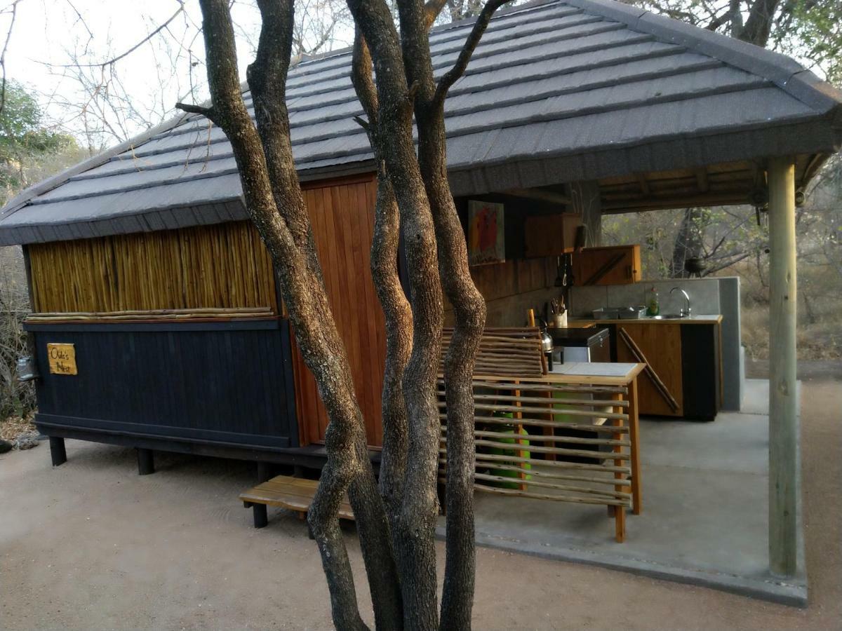 Off Beat Safaris Bush Lodge 侯斯普瑞特 外观 照片