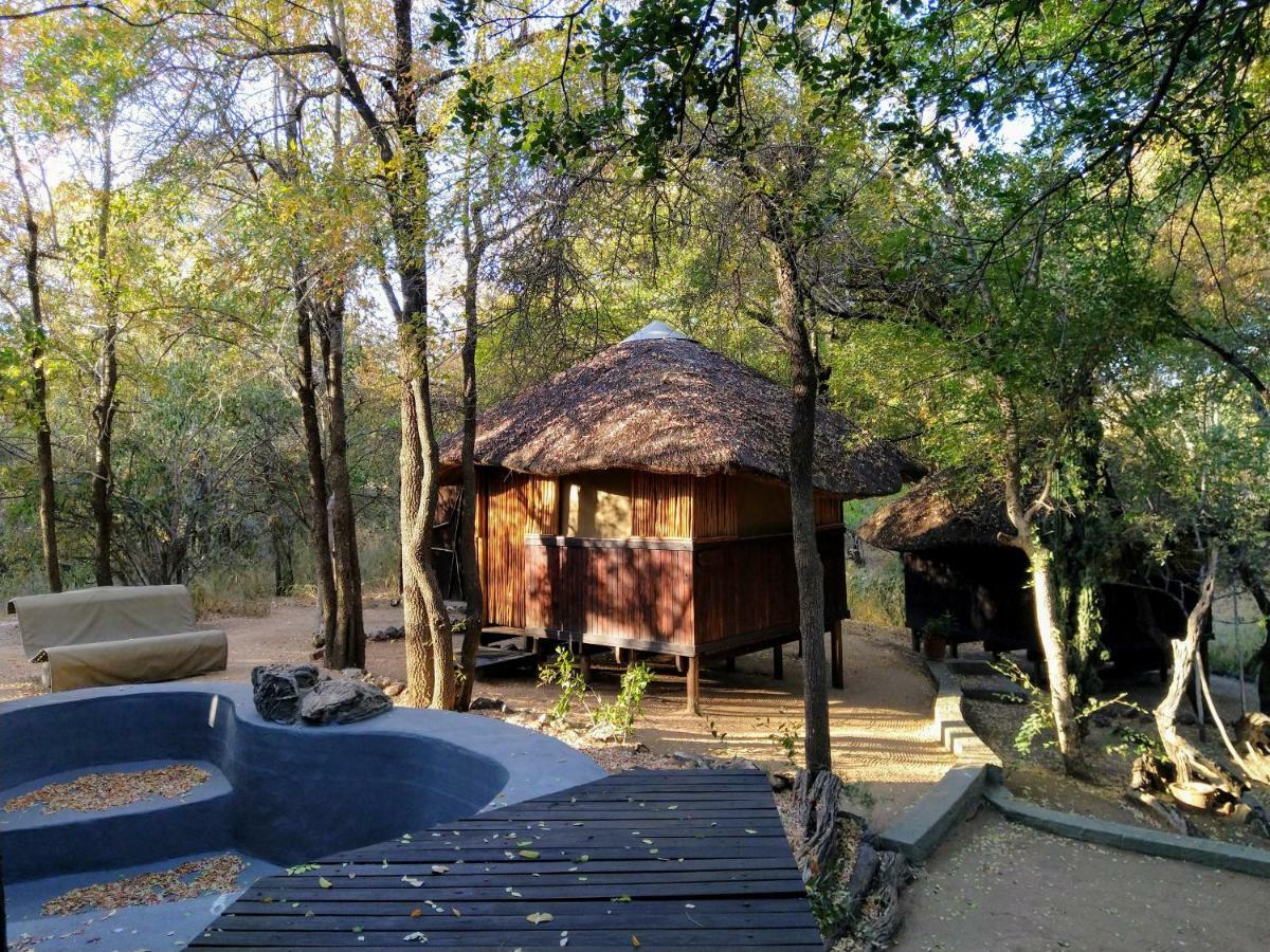 Off Beat Safaris Bush Lodge 侯斯普瑞特 外观 照片