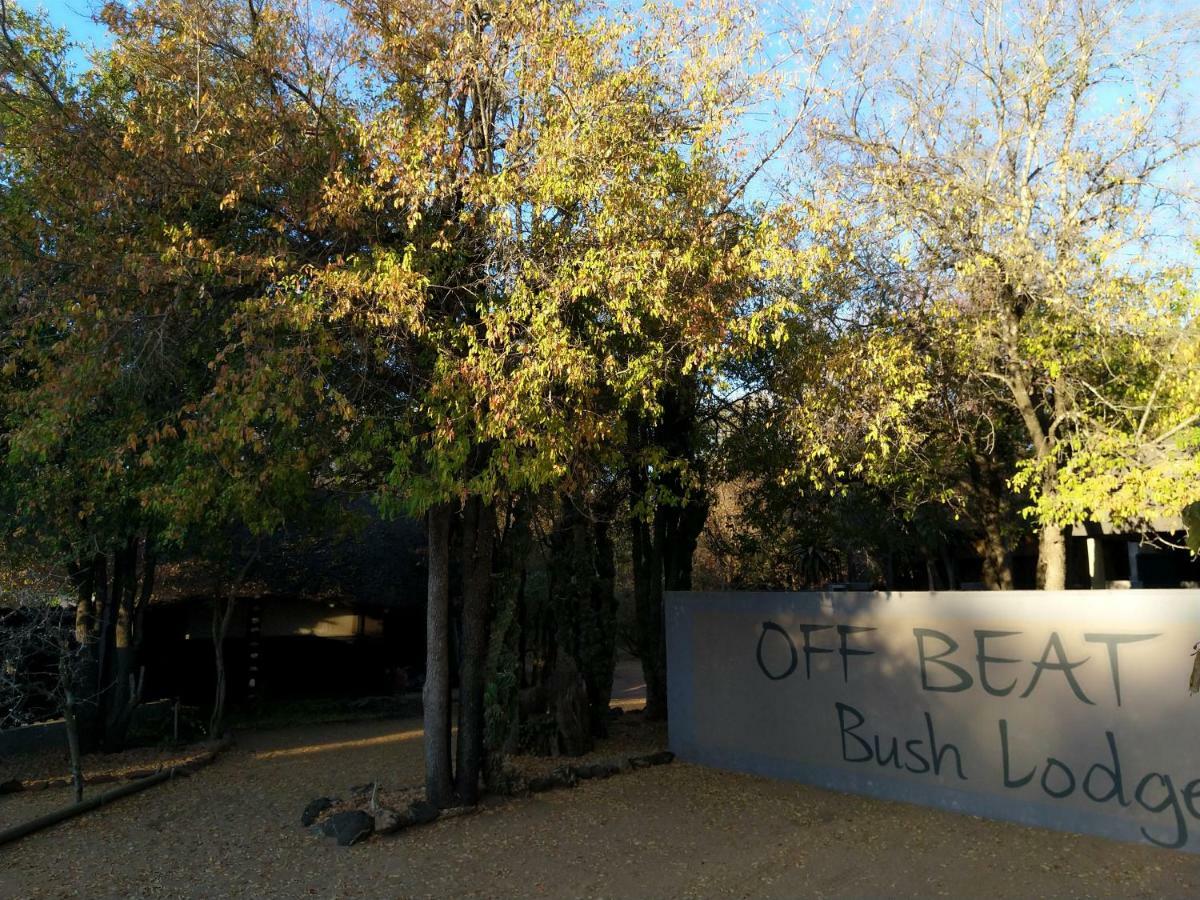 Off Beat Safaris Bush Lodge 侯斯普瑞特 外观 照片