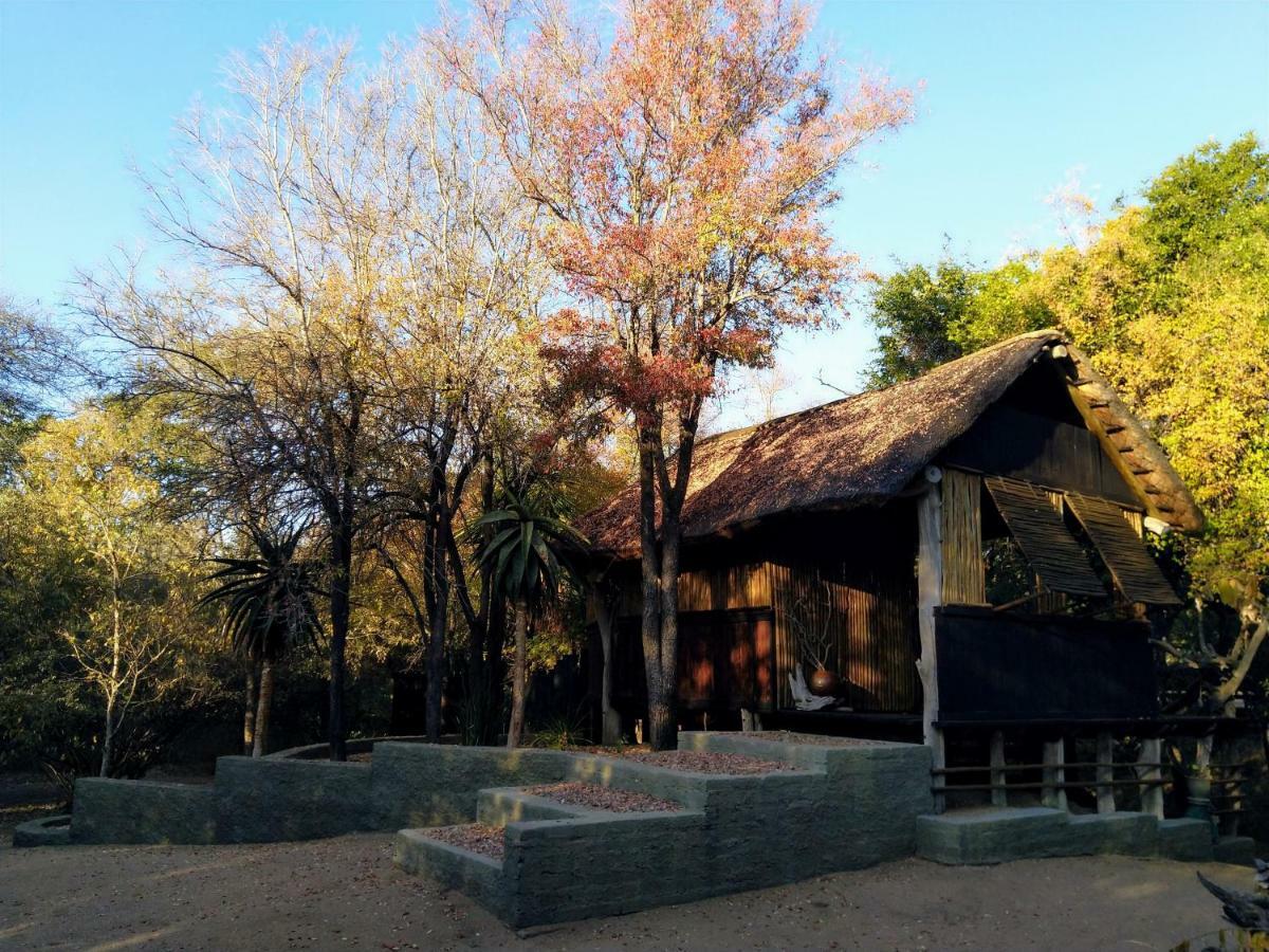 Off Beat Safaris Bush Lodge 侯斯普瑞特 外观 照片