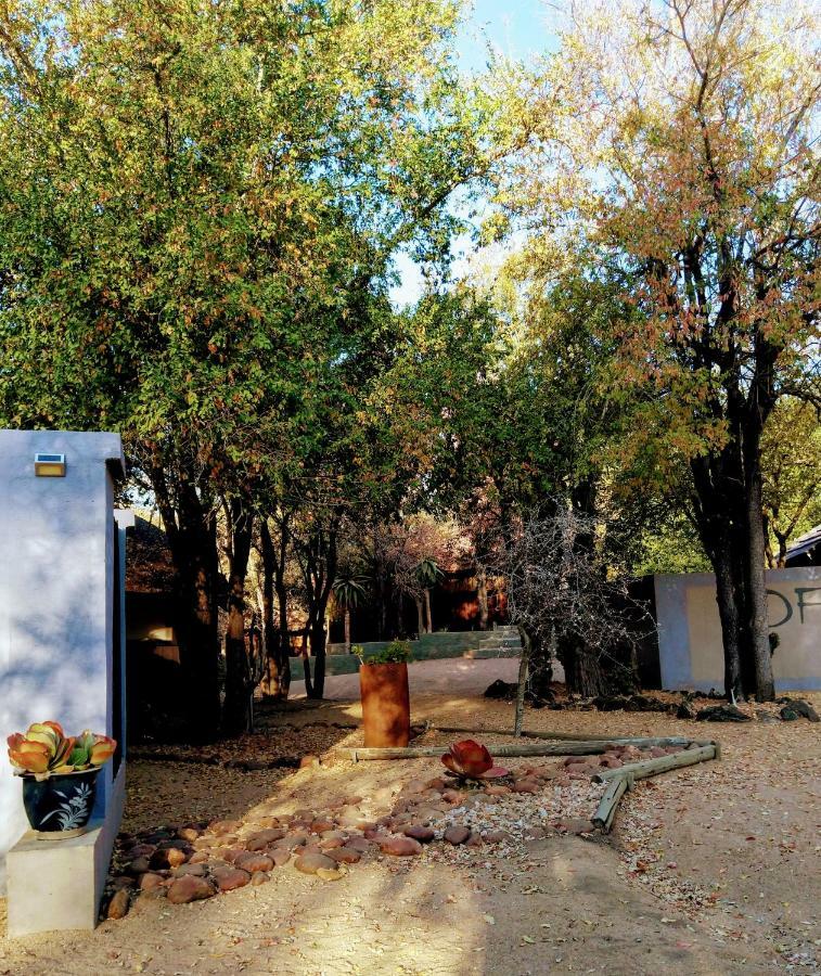 Off Beat Safaris Bush Lodge 侯斯普瑞特 外观 照片