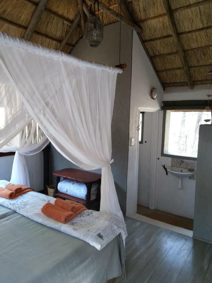 Off Beat Safaris Bush Lodge 侯斯普瑞特 外观 照片